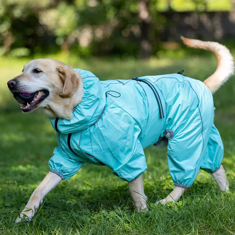 Anniepaw Manhattan Maverick Suit