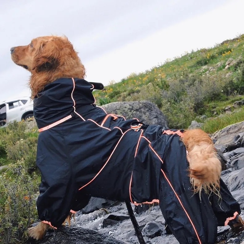 Anniepaw Manhattan Maverick Suit
