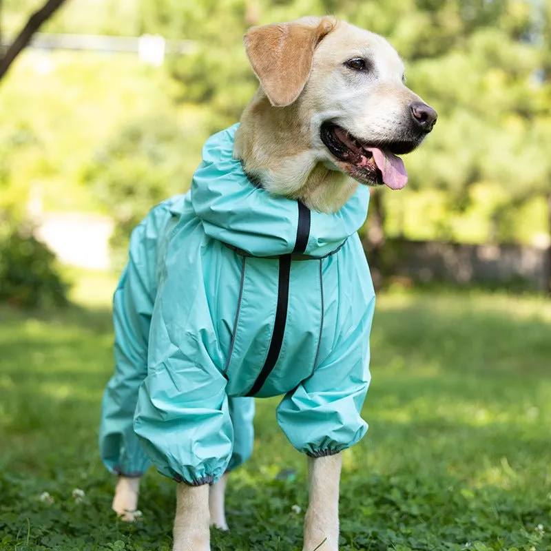 Anniepaw Manhattan Maverick Suit