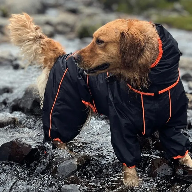 Anniepaw Manhattan Maverick Suit