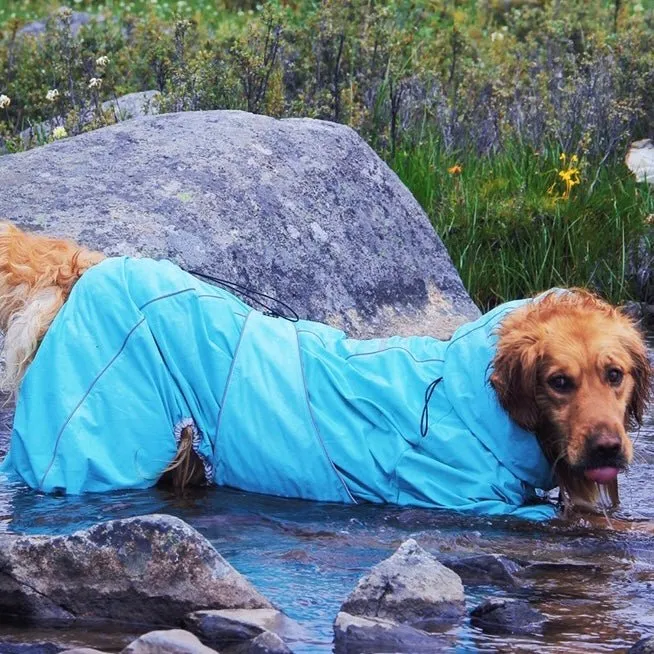 Anniepaw Manhattan Maverick Suit