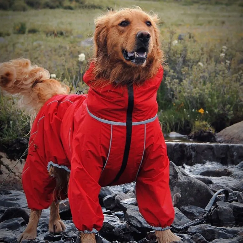 Anniepaw Manhattan Maverick Suit