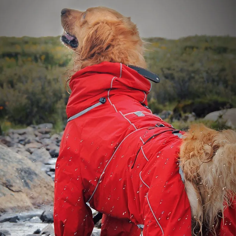 Anniepaw Manhattan Maverick Suit