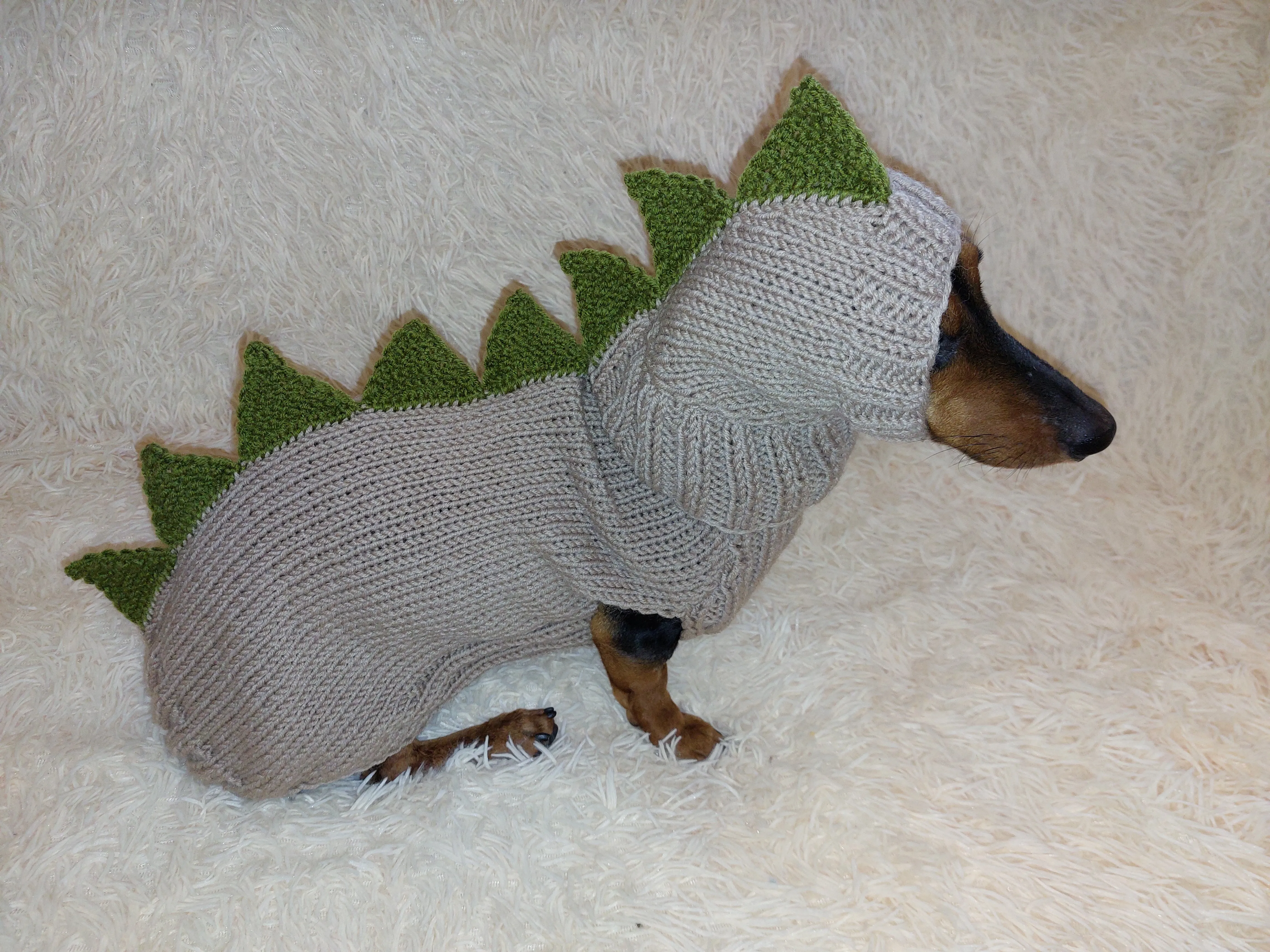 Dachshund Halloween Dinosaur Outfit Costume Sweater and Hat