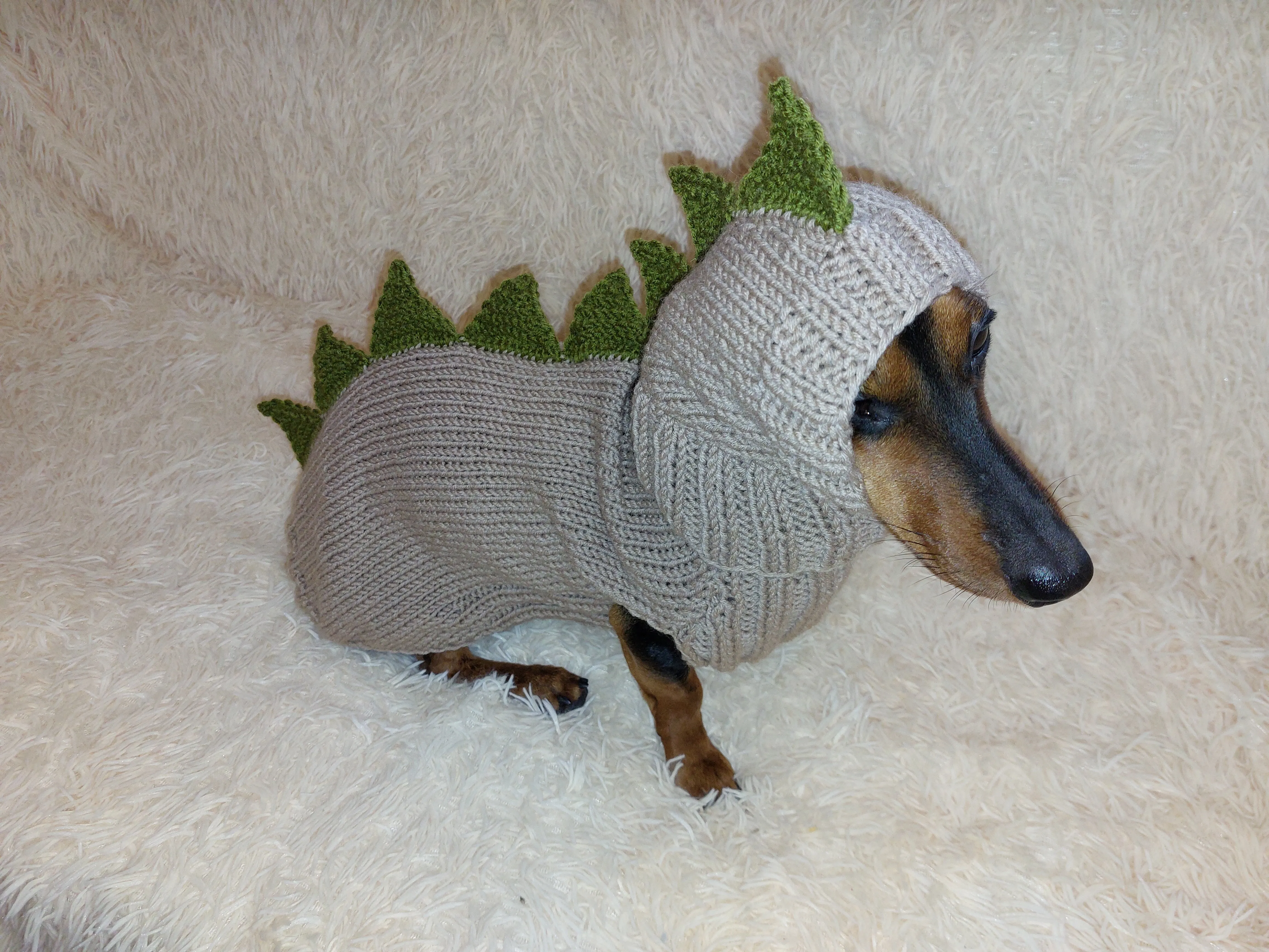 Dachshund Halloween Dinosaur Outfit Costume Sweater and Hat