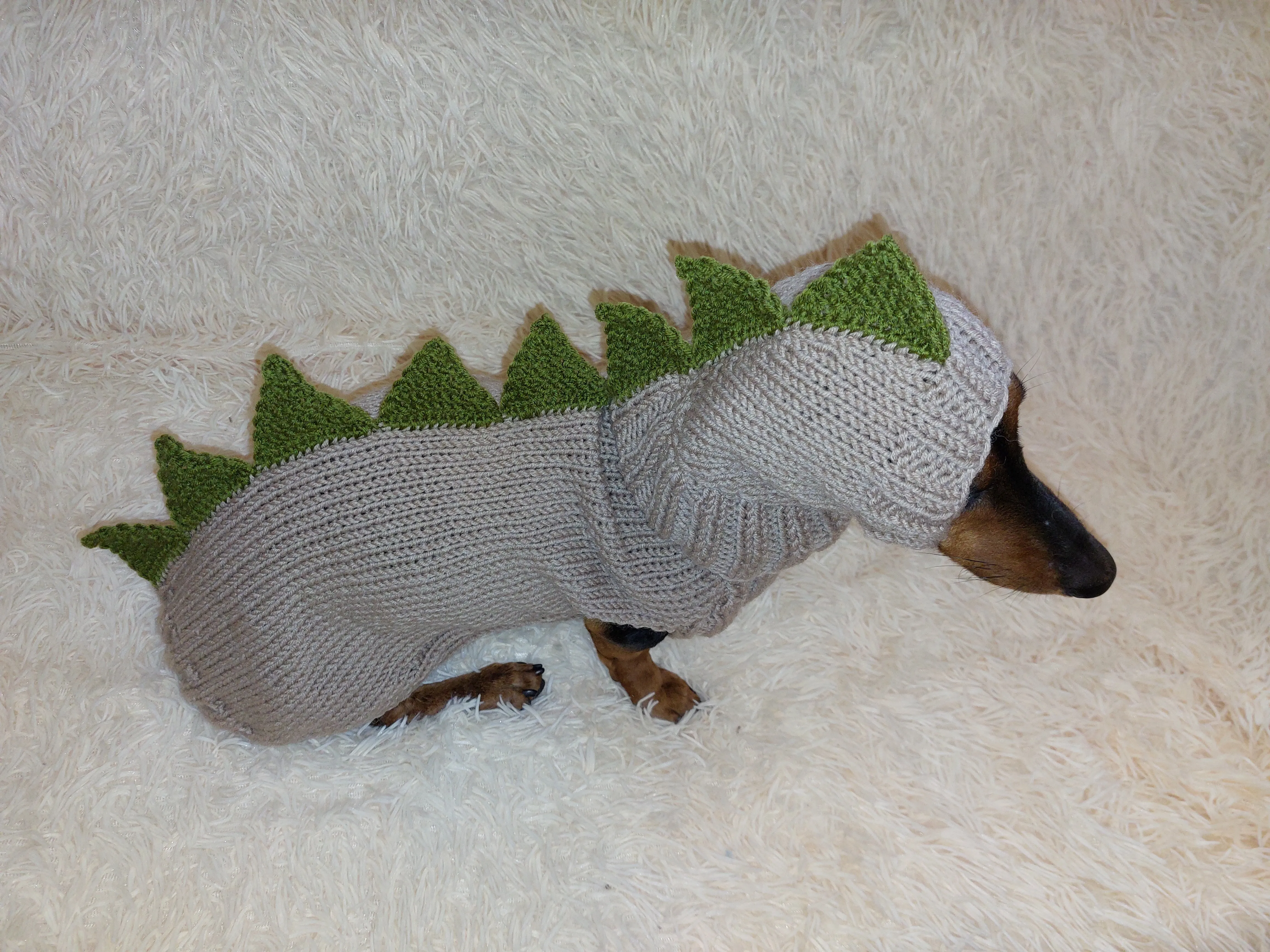 Dachshund Halloween Dinosaur Outfit Costume Sweater and Hat