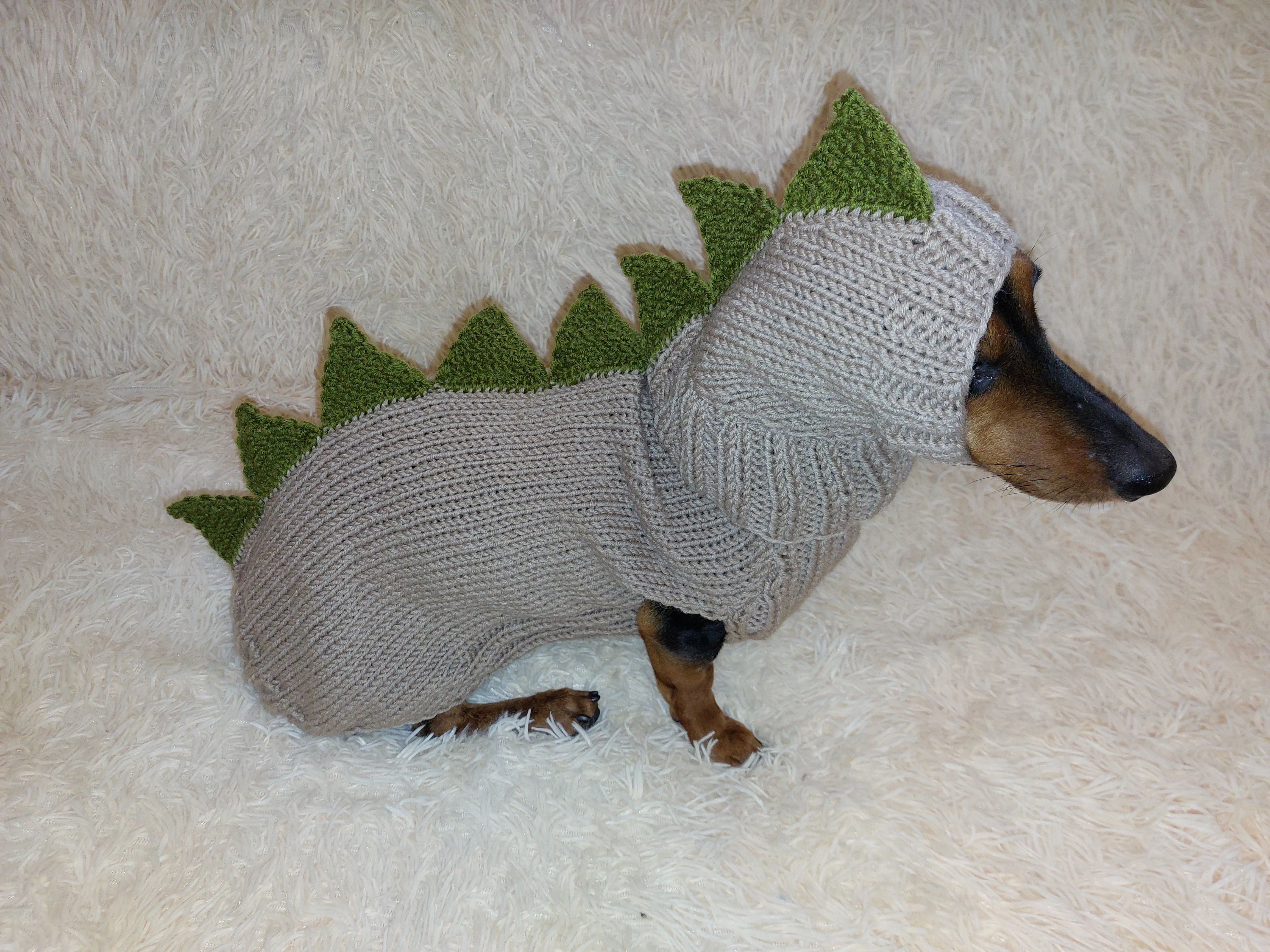 Dachshund Halloween Dinosaur Outfit Costume Sweater and Hat
