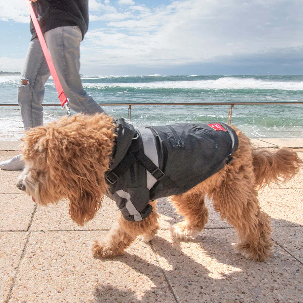Louie Living | Black Dog Raincoat